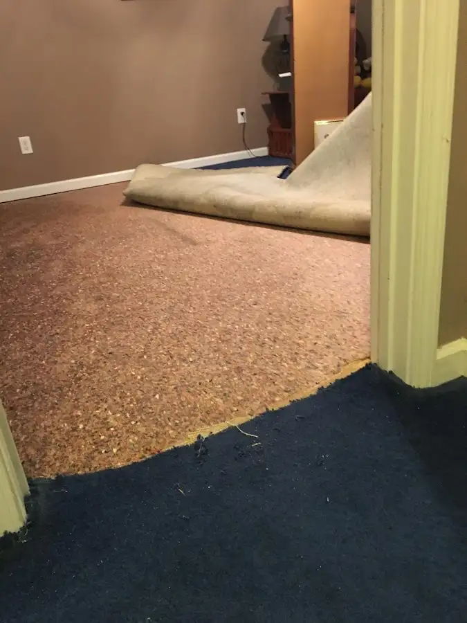 Carpet pad removal revealing water damage during Drying & Dehumidification in Bemidji