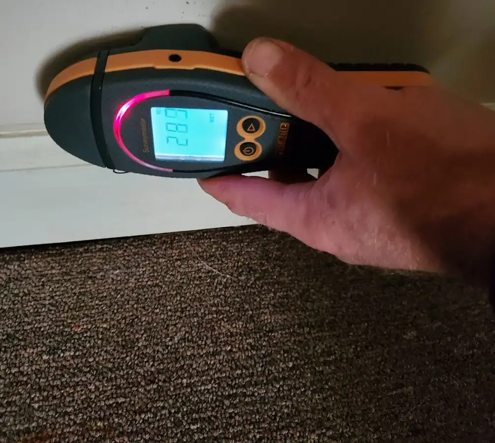 Moisture detection at baseboard during Mold Inspection & Testing in Bemidji